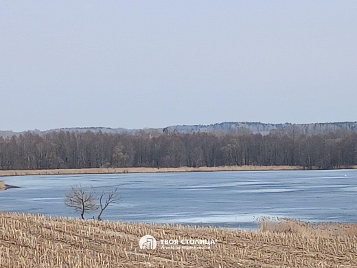 дом, Рудевичи - фото 19 