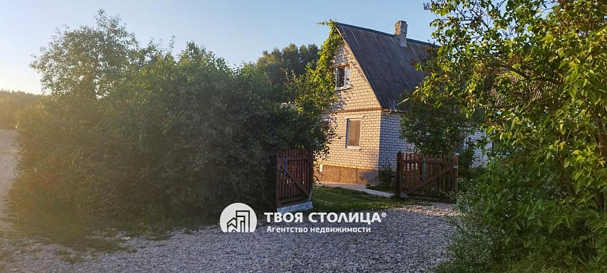 дача, Турковщина - фото 15 