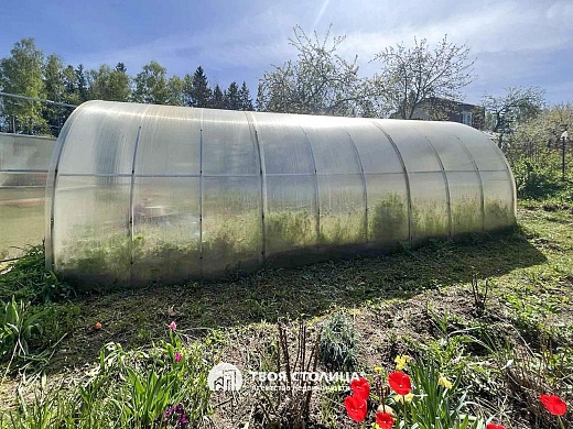 дача, Пралески - фото 4 