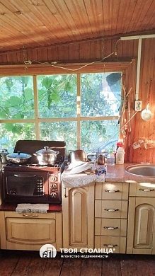 дача, Турковщина - фото 6 