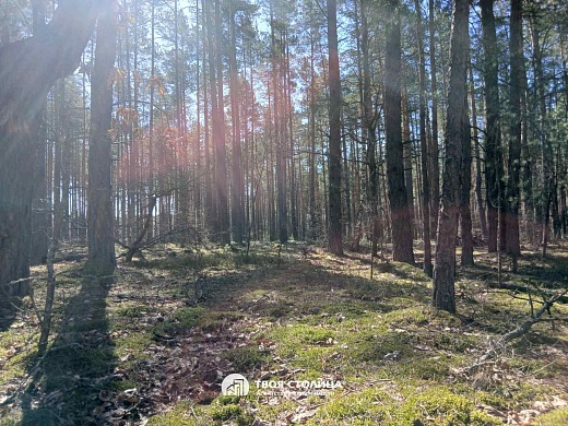 дом, Верейцы - фото 21 