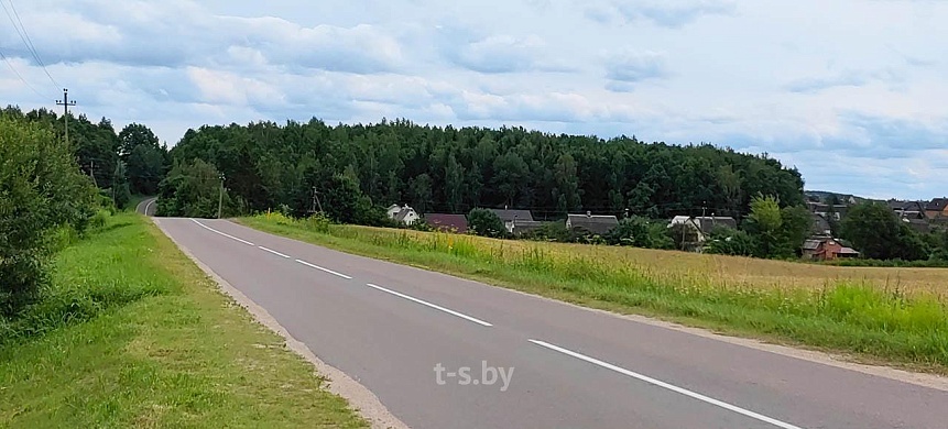 дача, Домашаны - фото 19 