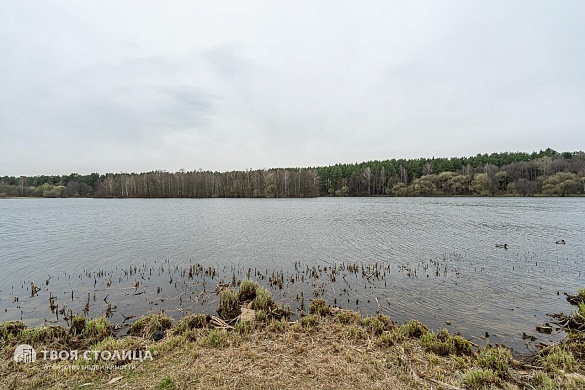 коттедж, Ждановичи - фото 84 