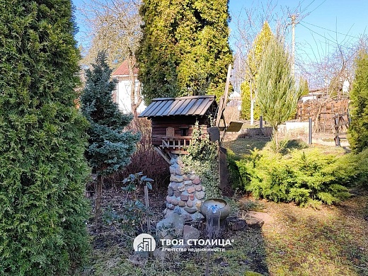 дача, Крыжовка - фото 24 