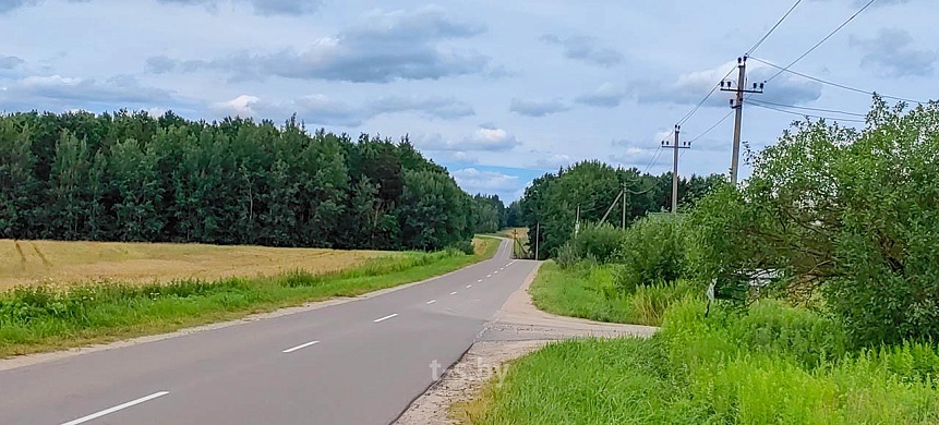 дача, Домашаны - фото 18 