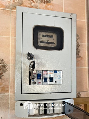 дача, Силичи - фото 32 