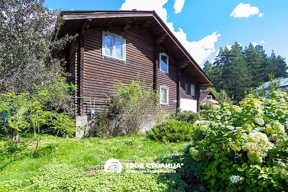 дача, Белая сирень - фото 3 