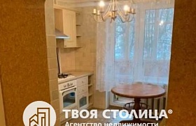 Сдается однокомнатная квартира, Минск, Левкова ул., 10 за 300 у.е.