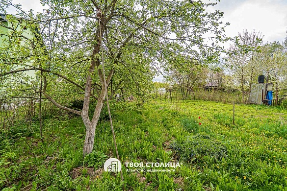 дача, Петришки - фото 7 