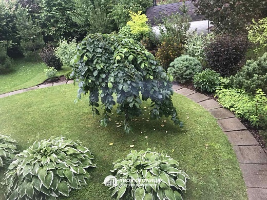 дача, Строитель-86 - фото 3 