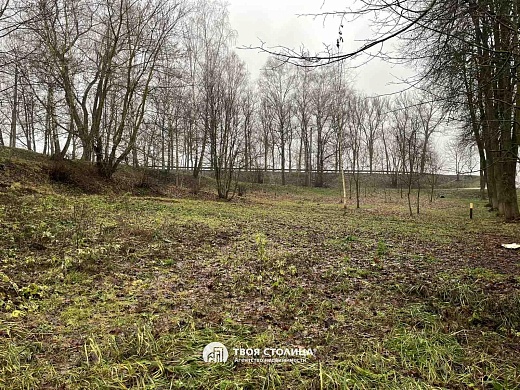 участок, Острошицкий Городок - фото 4 
