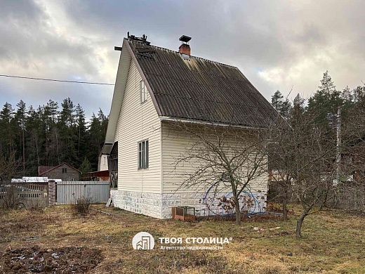 дача, Белая березка