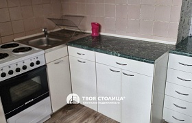Сдается однокомнатная квартира, Минск, Тикоцкого ул., 2 за 350 у.е.