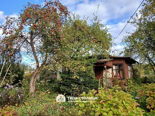участок, Геофизик - фото 15 
