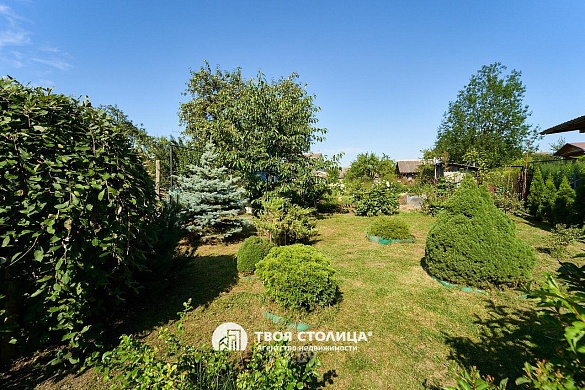 дача, Зацень - фото 49 