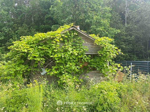 дом, Суковичи - фото 13 