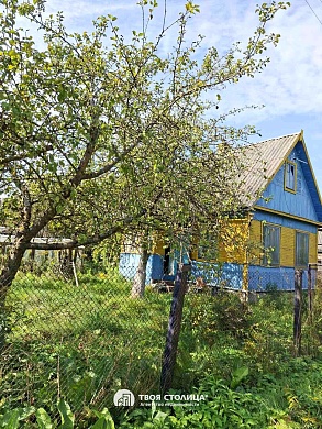 дача, Елочка - фото 9 