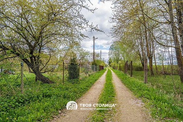 дача, Петришки - фото 13 