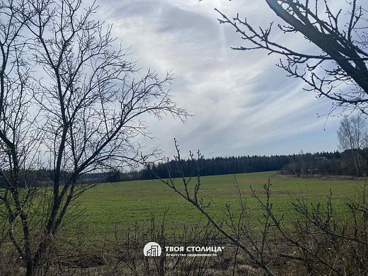 дача, Меридиан-2002 - фото 24 