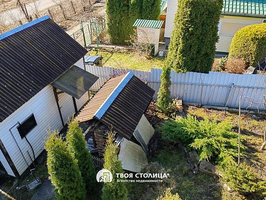 дача, Крыжовка - фото 10 