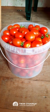 дача, ЗОЛОТОЙ КОЛОСОК - фото 19 