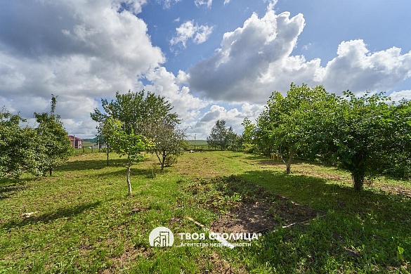 дом, Нелидовичи - фото 24 