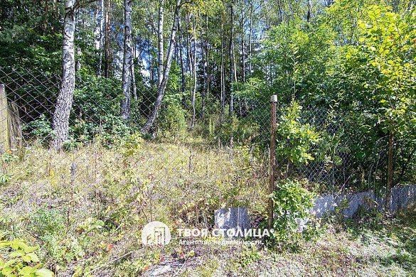 дача, Слобода - фото 60 