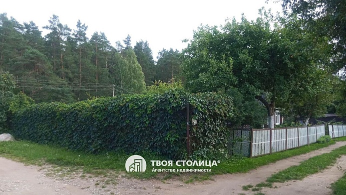 дача, Станкостроитель - фото 13 