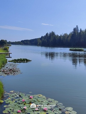 коттедж, Шубники - фото 39 