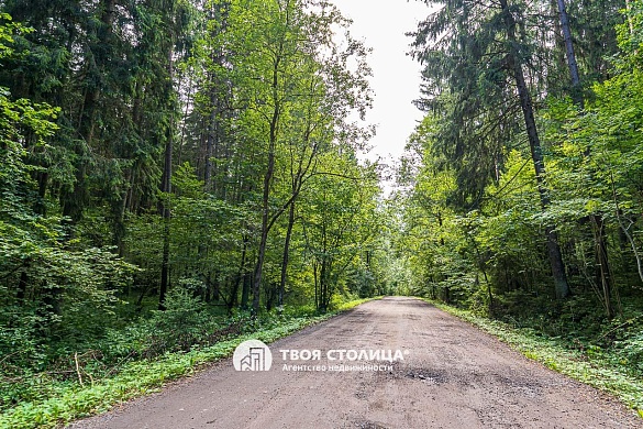 дача, Острошицкий Городок - фото 27 
