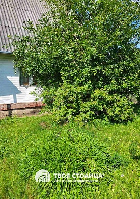 дача, Вязынка - фото 11 