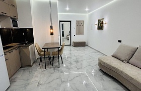 Сдается однокомнатная квартира, Минск, Игоря Лученка ул., 16 за 450 у.е.