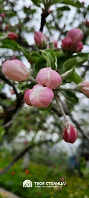 дача, ЗОЛОТОЙ КОЛОСОК - фото 11 