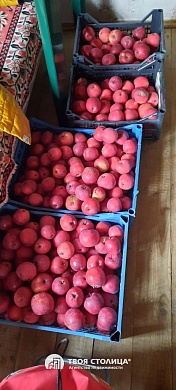 дача, ЗОЛОТОЙ КОЛОСОК - фото 20 