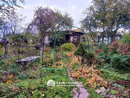 участок, Геофизик - фото 16 