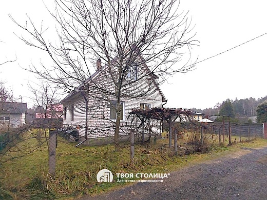 дача, Репортер - фото 33 