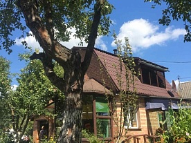 Деревня Бруморовщина