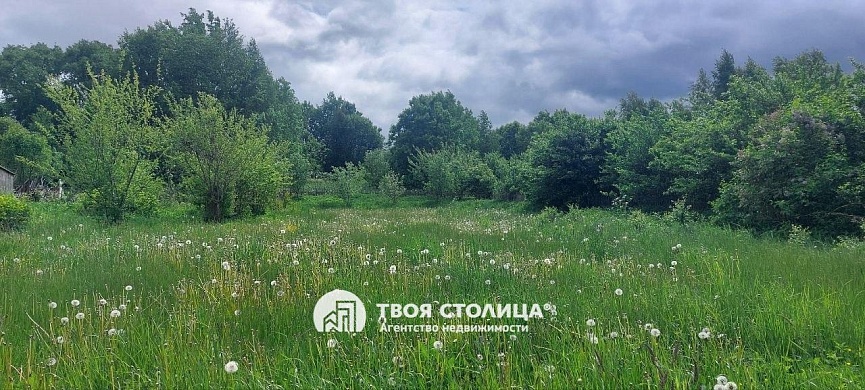 полдома, Ислочь - фото 7 