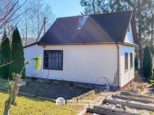 дача, Крыжовка - фото 18 