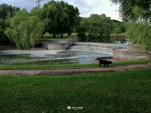 Сдаётся 1-комнатная квартира, Минск, Фроликова, 73, к. 1 - фото 4 