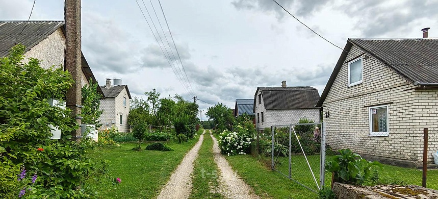 дача, Домашаны - фото 17 