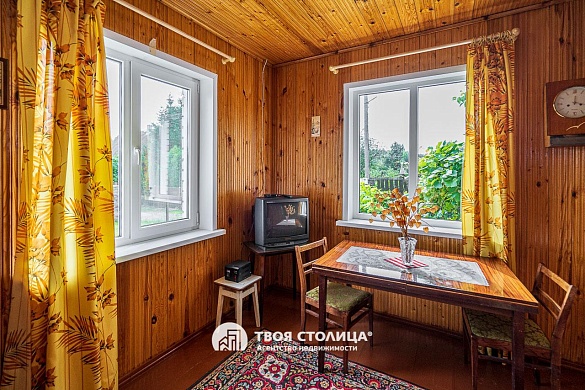 дача, Репортер - фото 6 