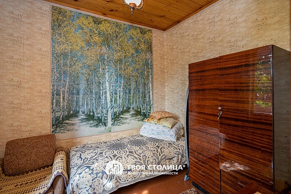 дача, Репортер - фото 12 