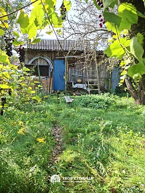 дача, Елочка - фото 10 