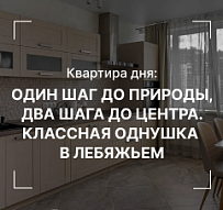 Квартира дня: Один шаг до природы, два шага до центра. Классная однушка в Лебяжьем