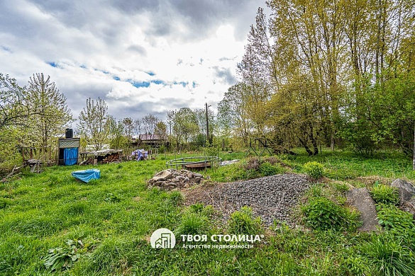 дача, Петришки - фото 9 