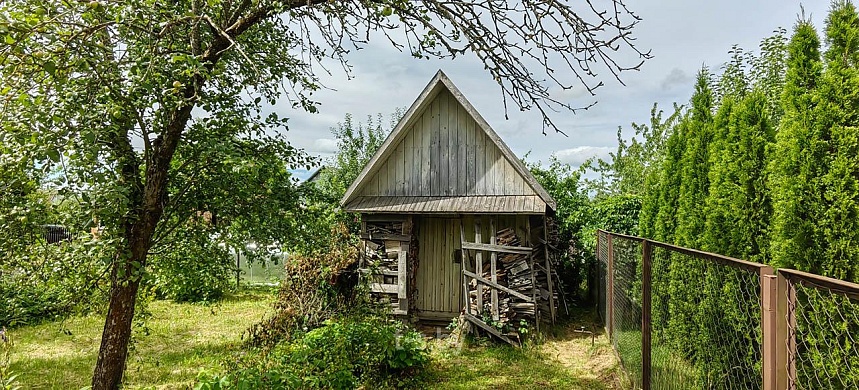 дача, Домашаны - фото 8 