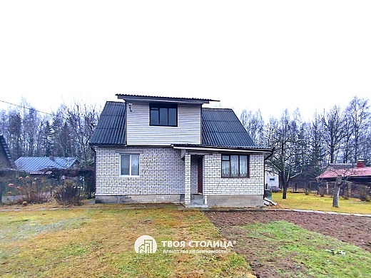 дача, Репортер - фото 2 