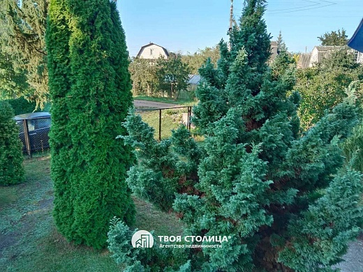 дача, Равнополье - фото 48 