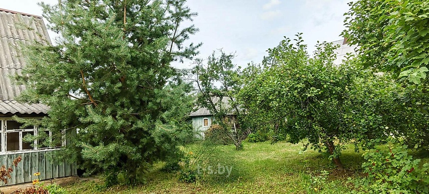 дача, Домашаны - фото 13 